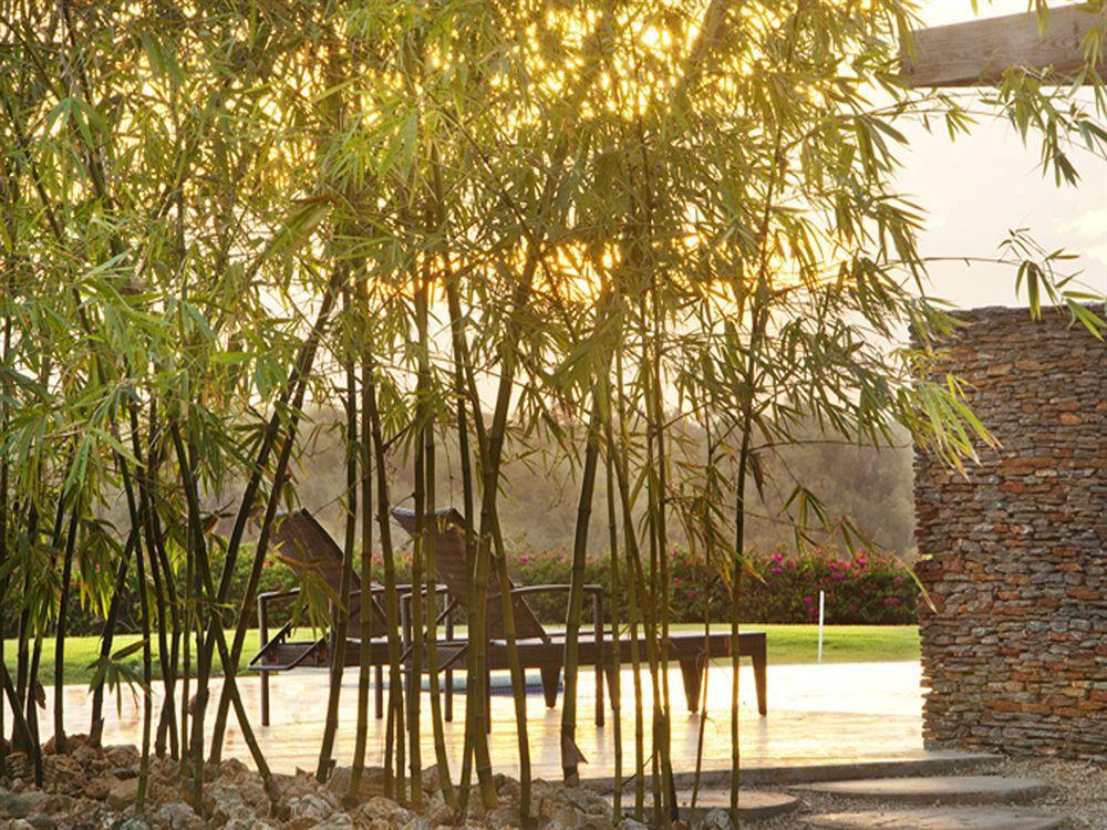 Los Altos Residences By Mint لا رومانا المظهر الخارجي الصورة